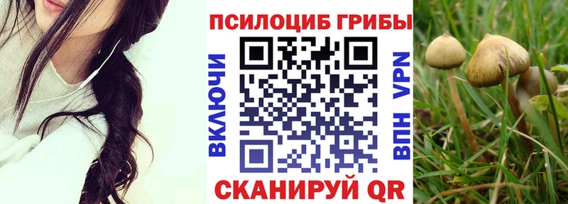 купить наркотик  Киренск  Галлюциногенные грибы мухоморы 